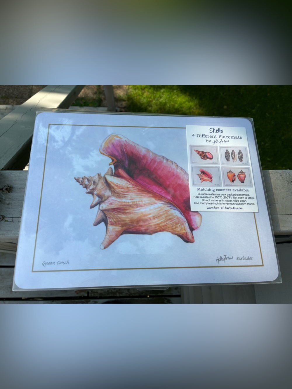NIB Set of 4 Seashell Themed Cork Placemats Holly Trew Barbados